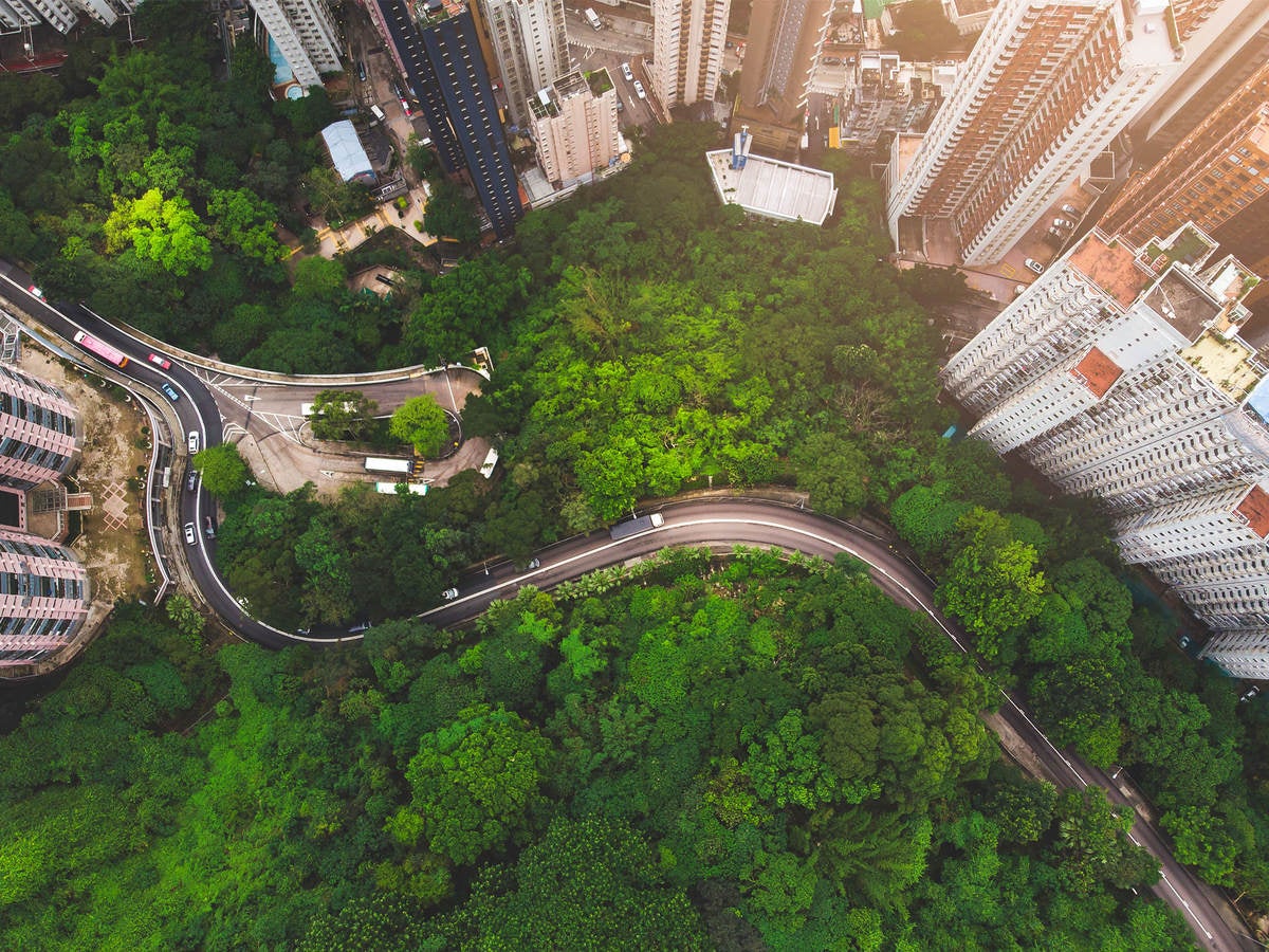 Aerial view of green area, buildings and street