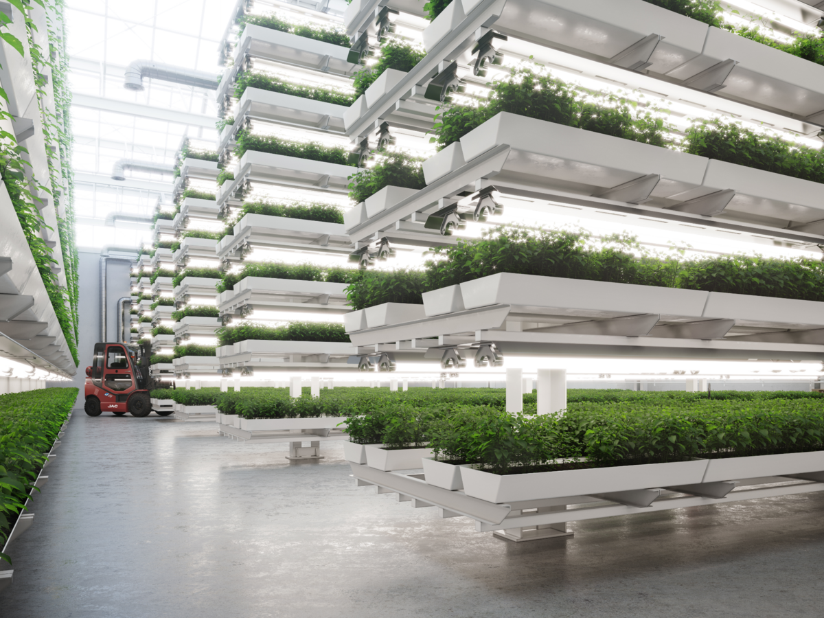 Indoor vertical farming system