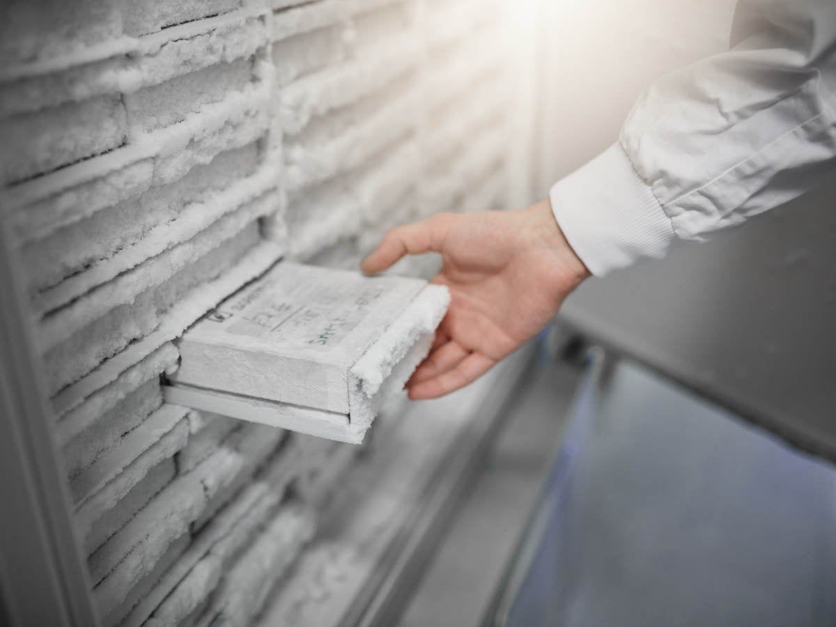 A scientist removing a sample from a laboratory freezer