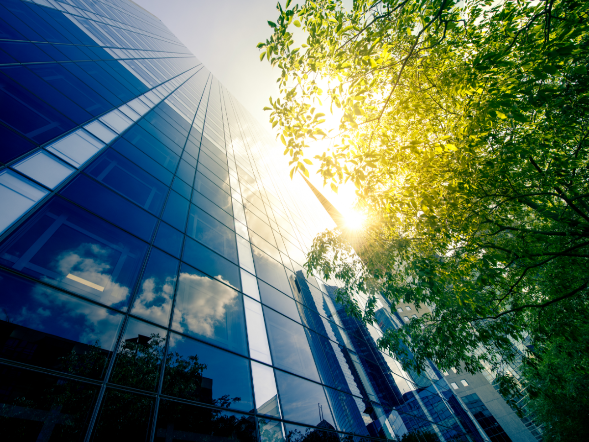 blue glass office building windows exterior with view of sky and trees