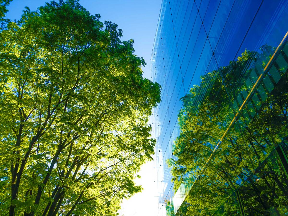 blue glass office building windows exterior with view of sky and trees