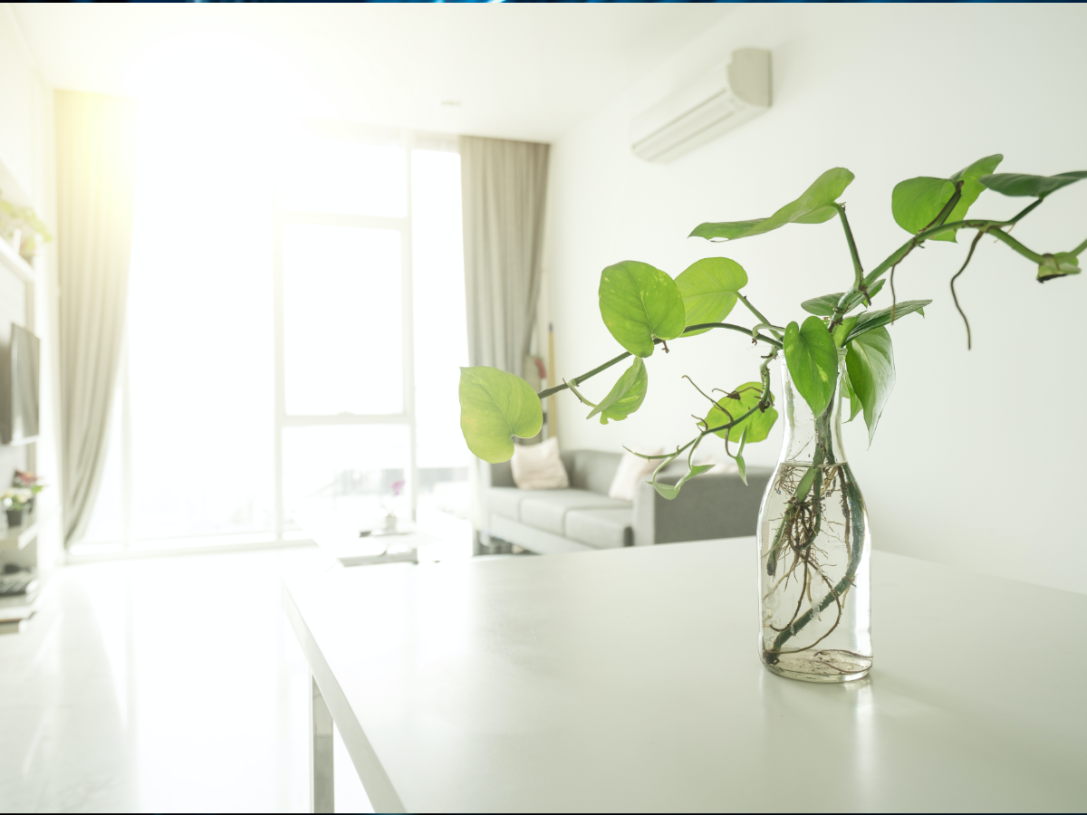 A bright, clean room in a home.