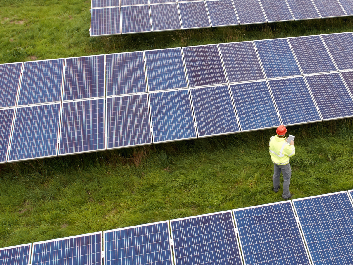 Employee inspecting solar panels