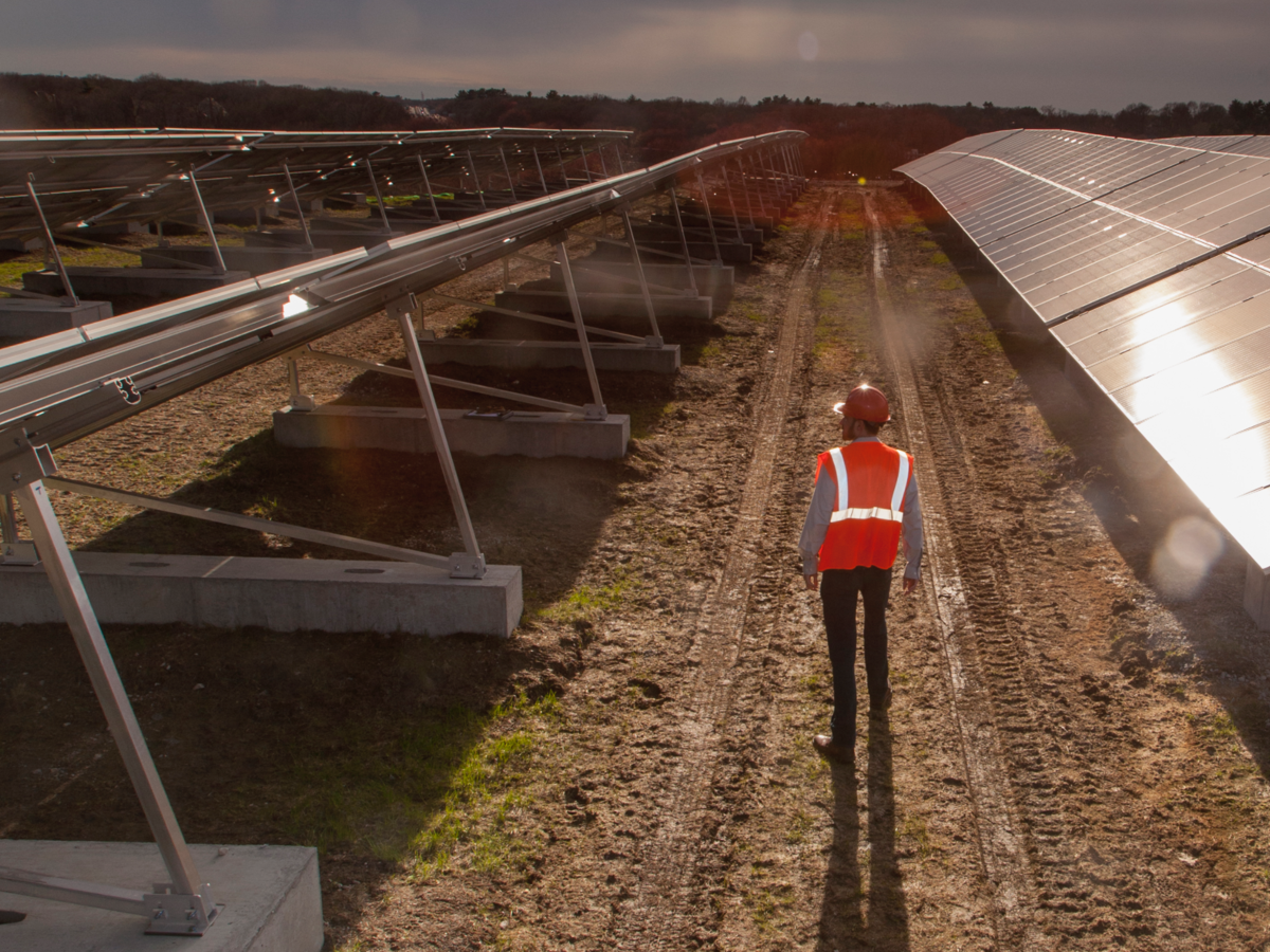 Employee inspecting solar panels