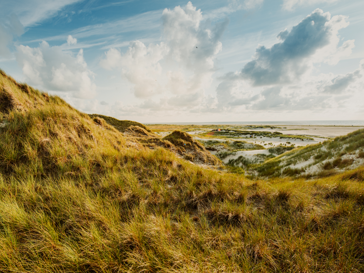 Grassy sand dune on a cloudy day