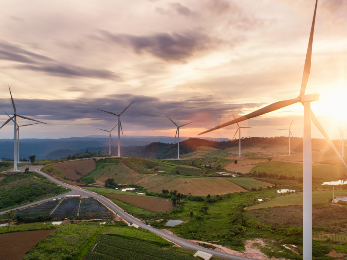 Field with wind turbines