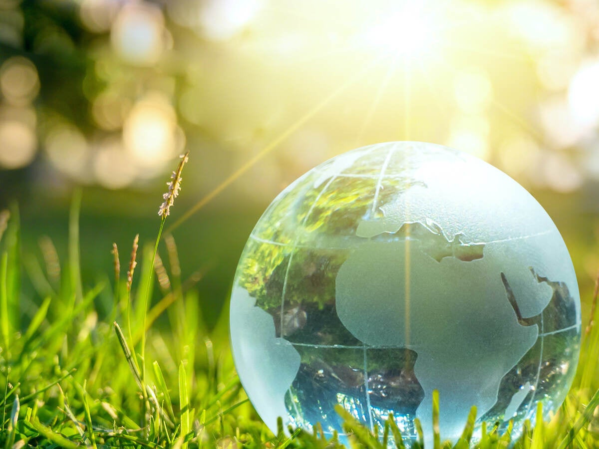 Glass globe sitting in the grass