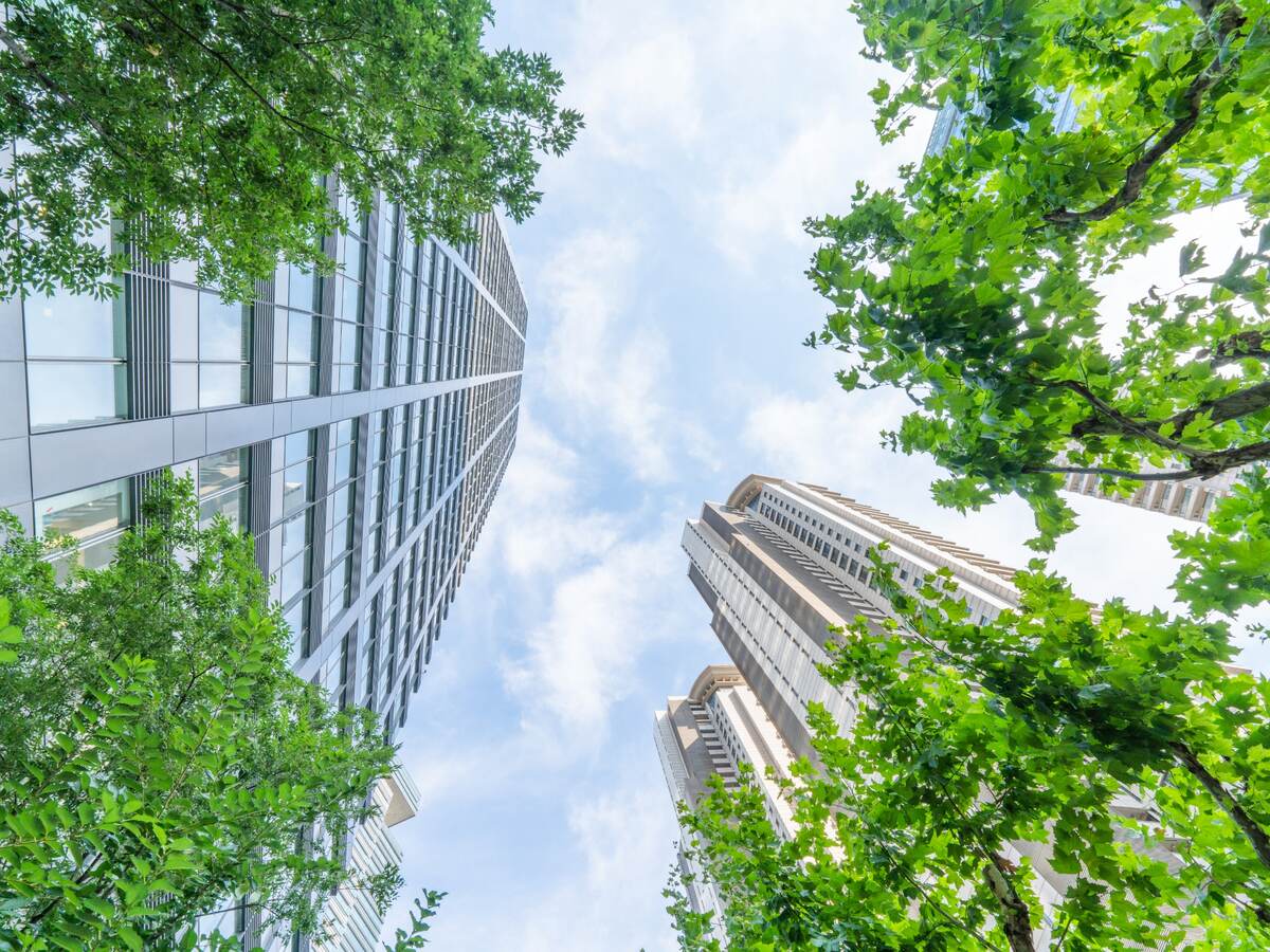 Bottom view looking up through buildings and trees