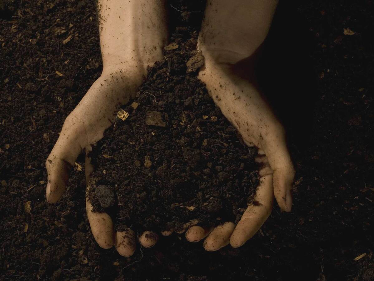 Hands sifting through soil