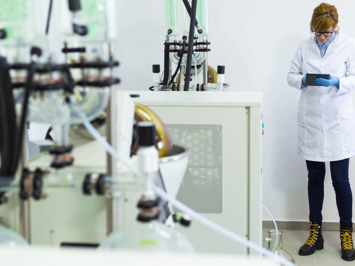 Scientist typing on black tablet in laboratory during CBD oil extraction