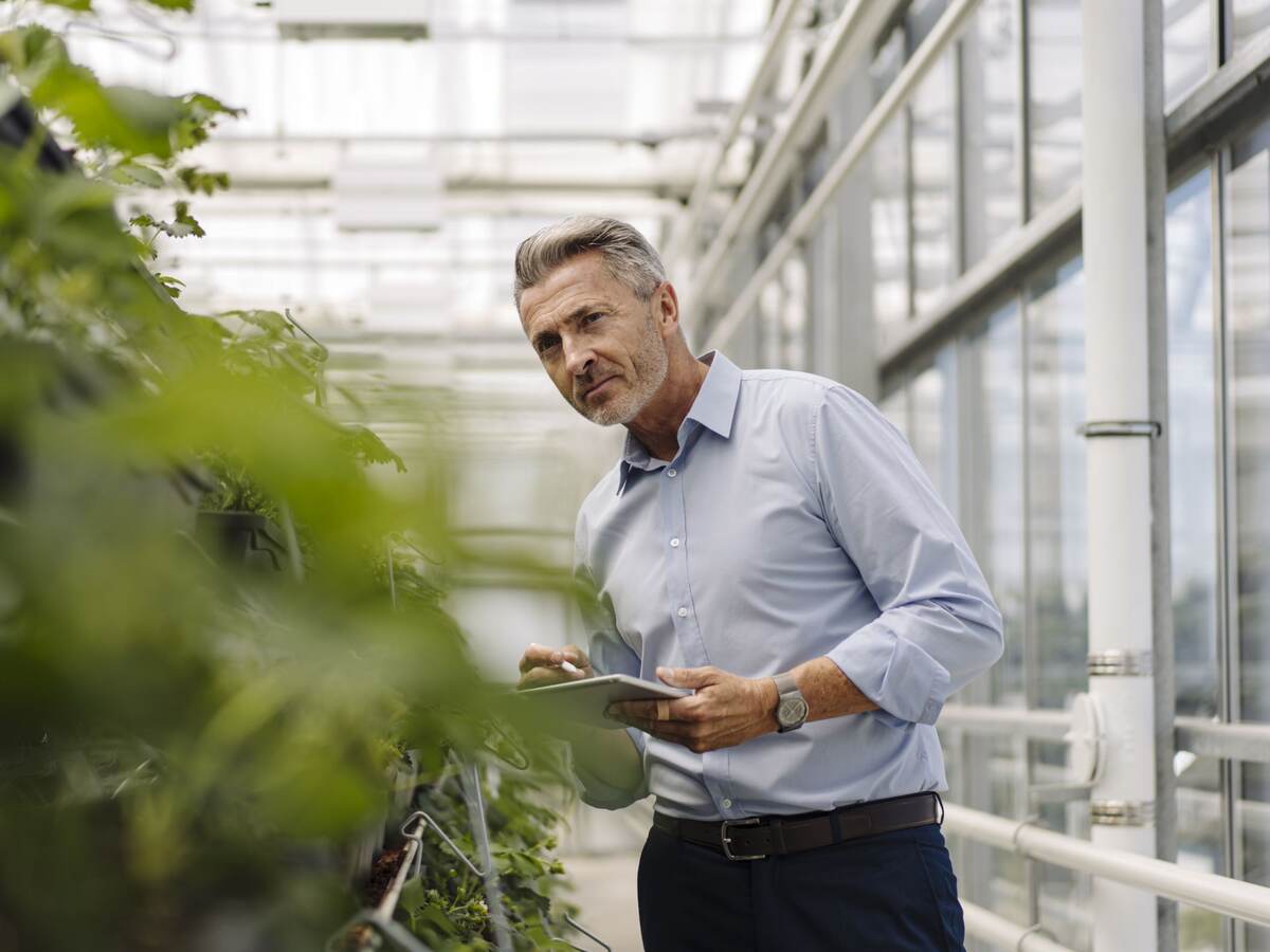 A horticultural professional with a digital tablet analyzes plants in a greenhouse.