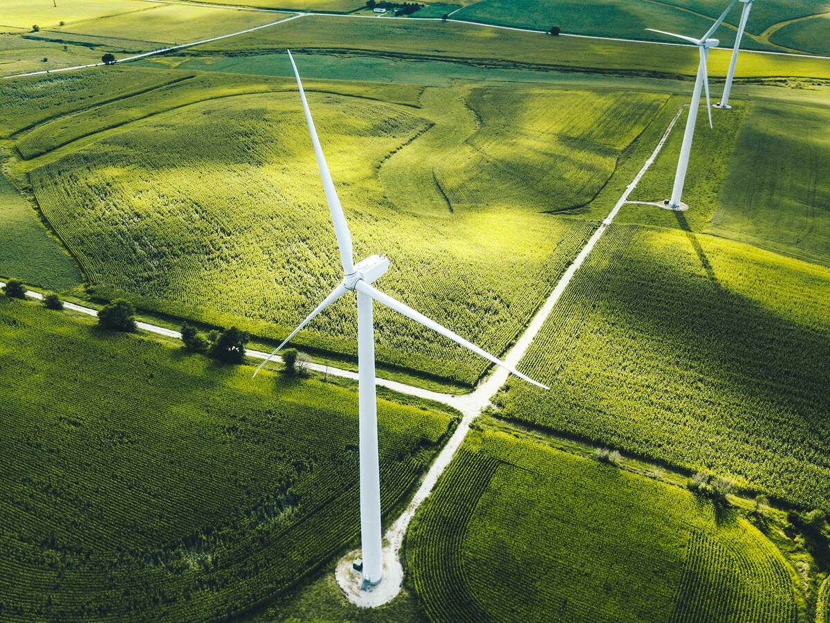 Wind turbines in a field