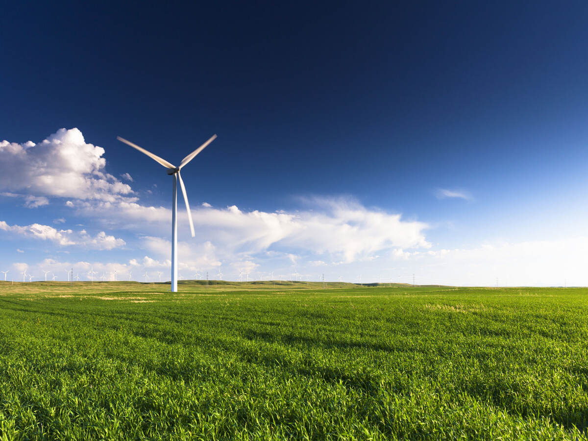 Wind turbines in a field