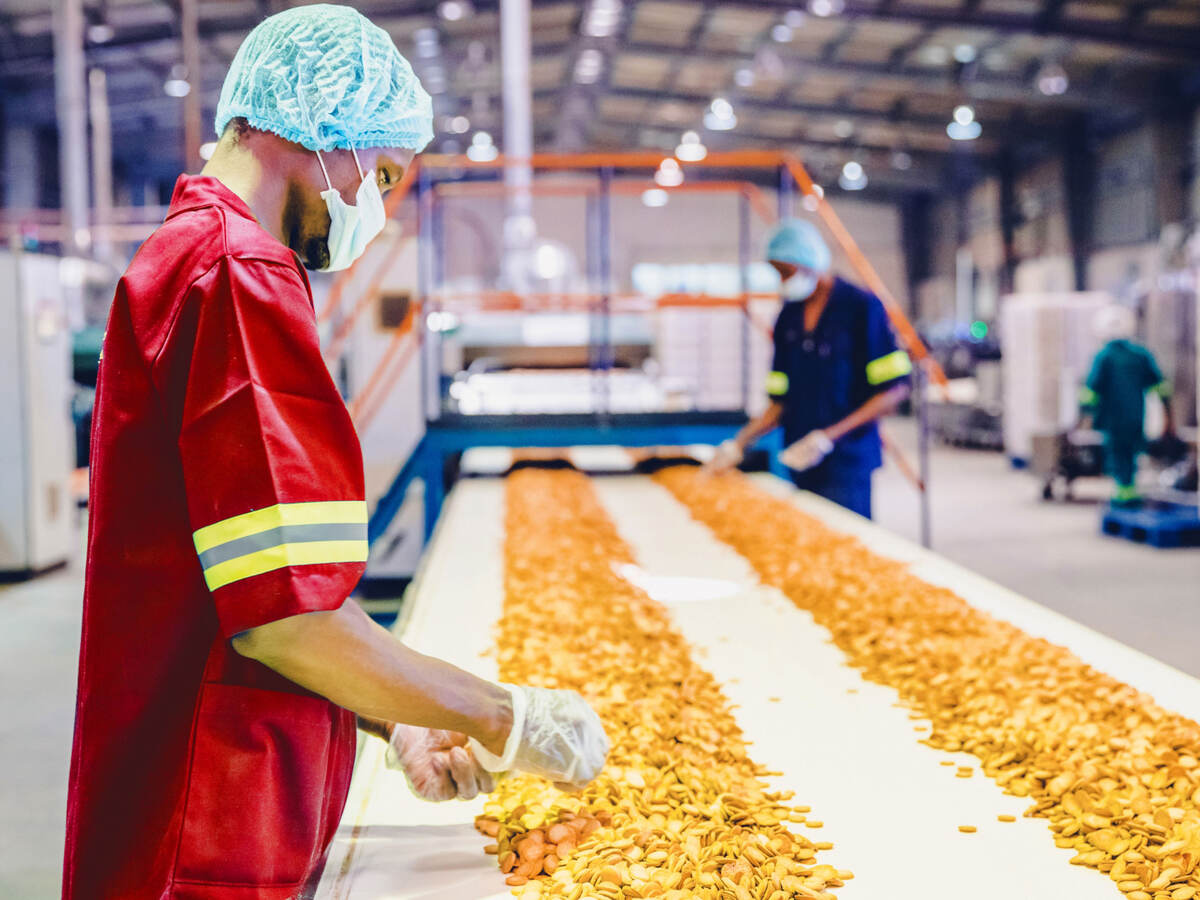 Food inspecting production line