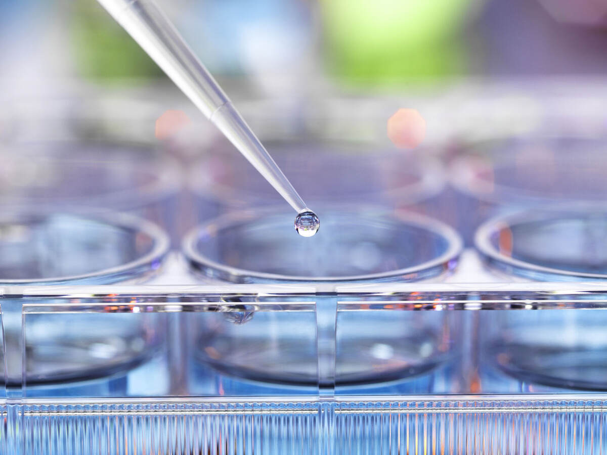 Pipetting sample into multiwell plate for analysis in a laboratory