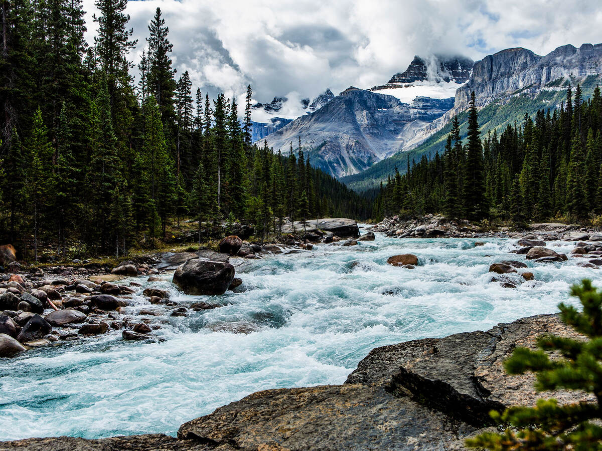 River, trees and mountains