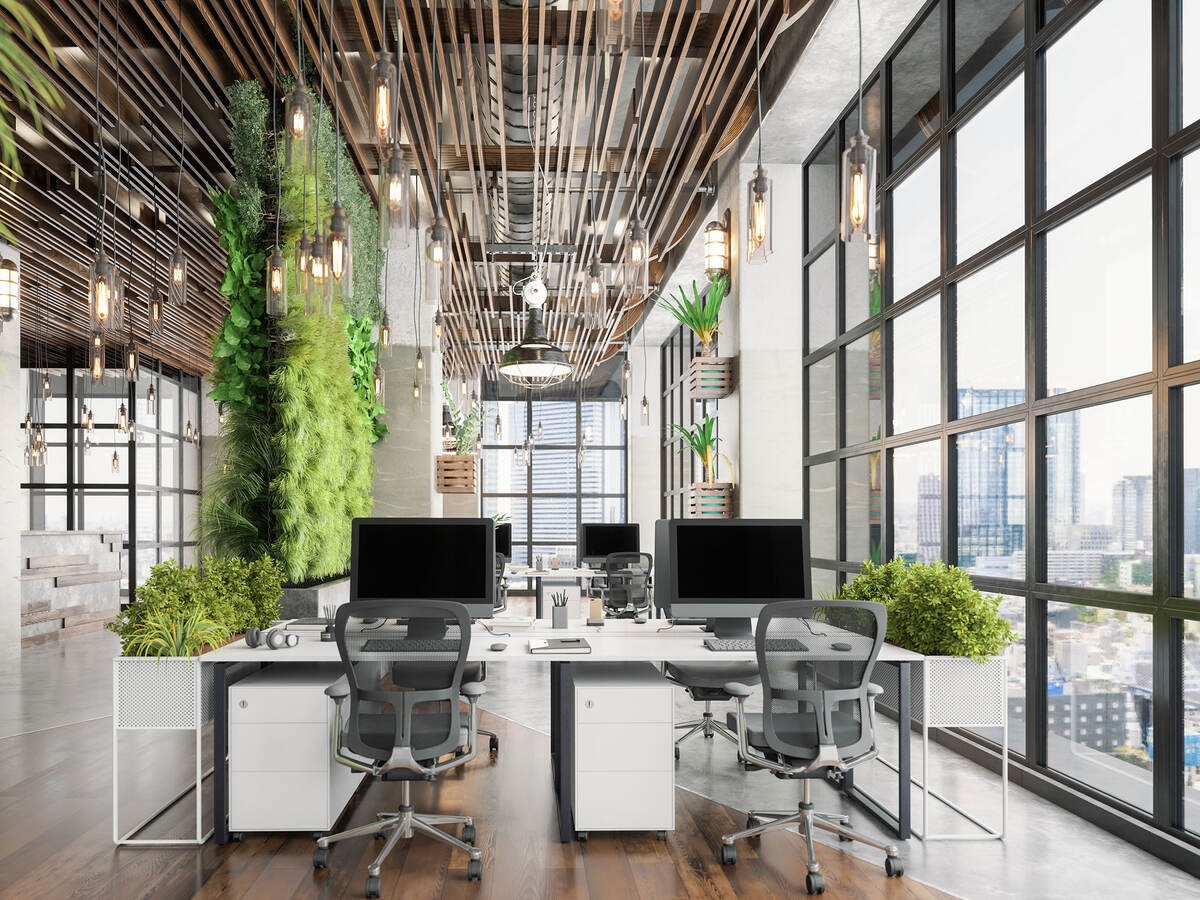 Sustainable Green Co-working Office Space