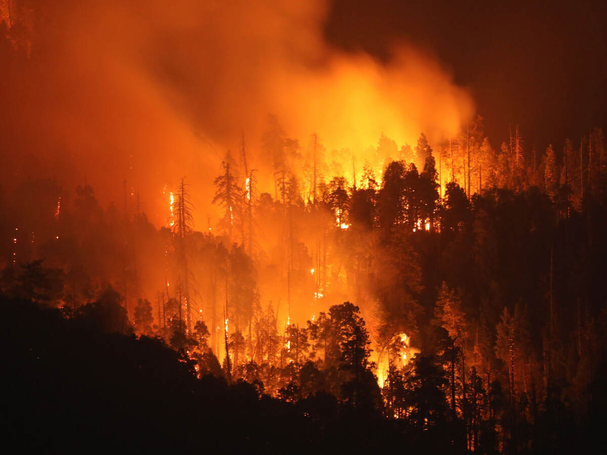 A California wildfire