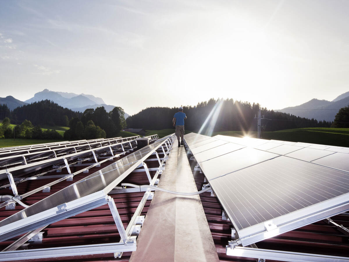 A solar plant