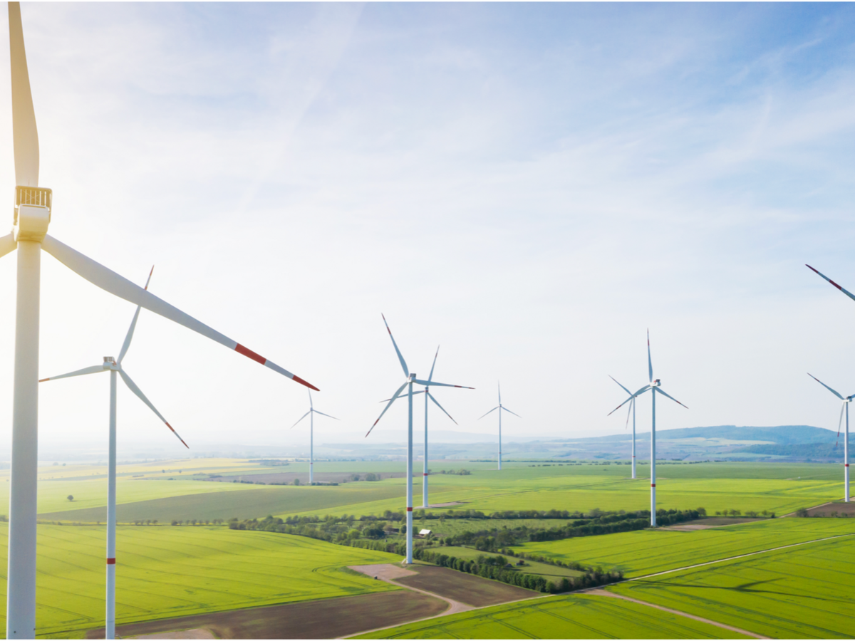 Wind turbines over a verdant field