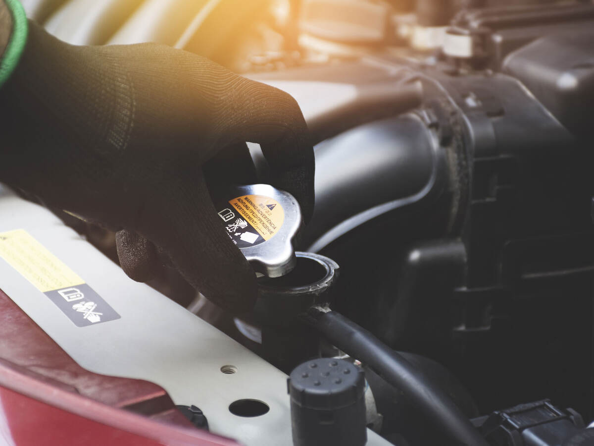 Mechanic checking radiator fluid