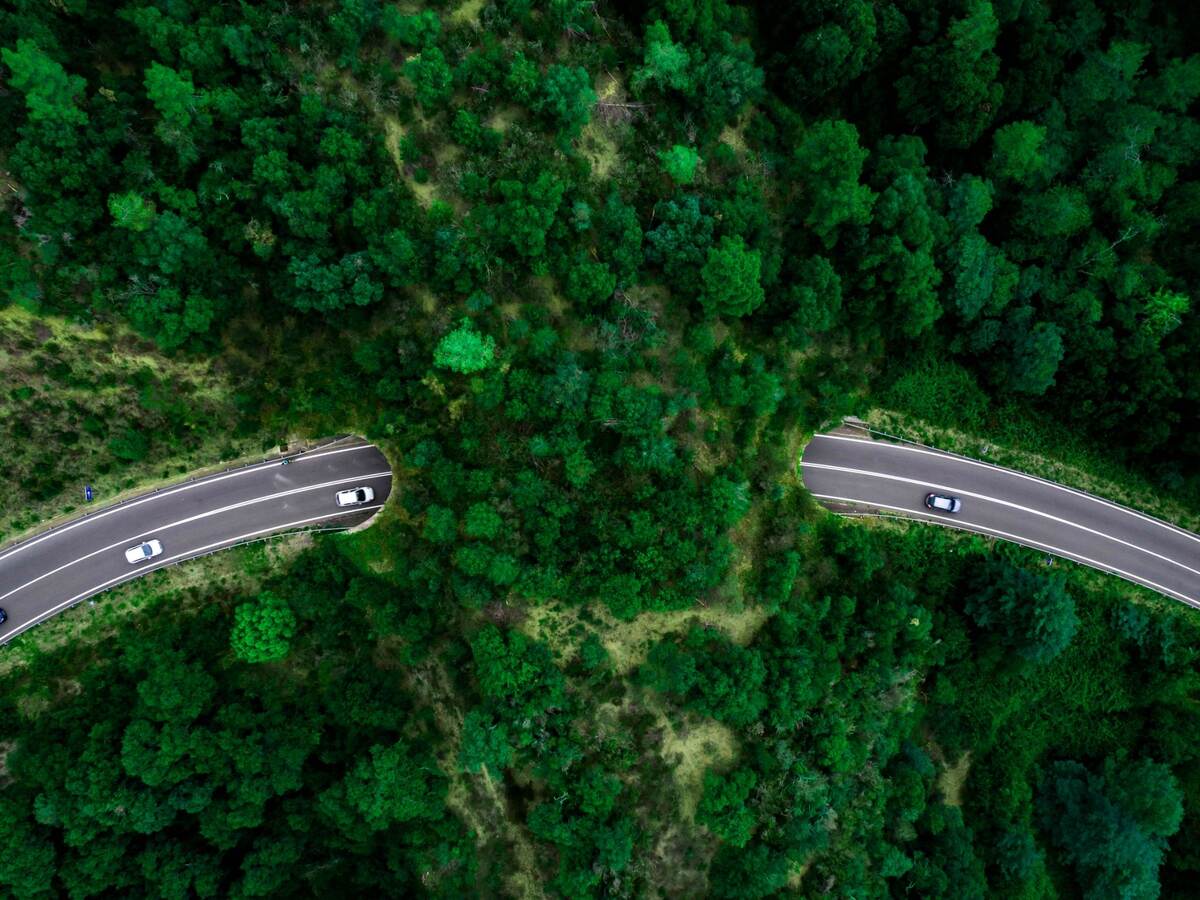 Aerial view of green bridge corridor for wildlife to cross highway safely.