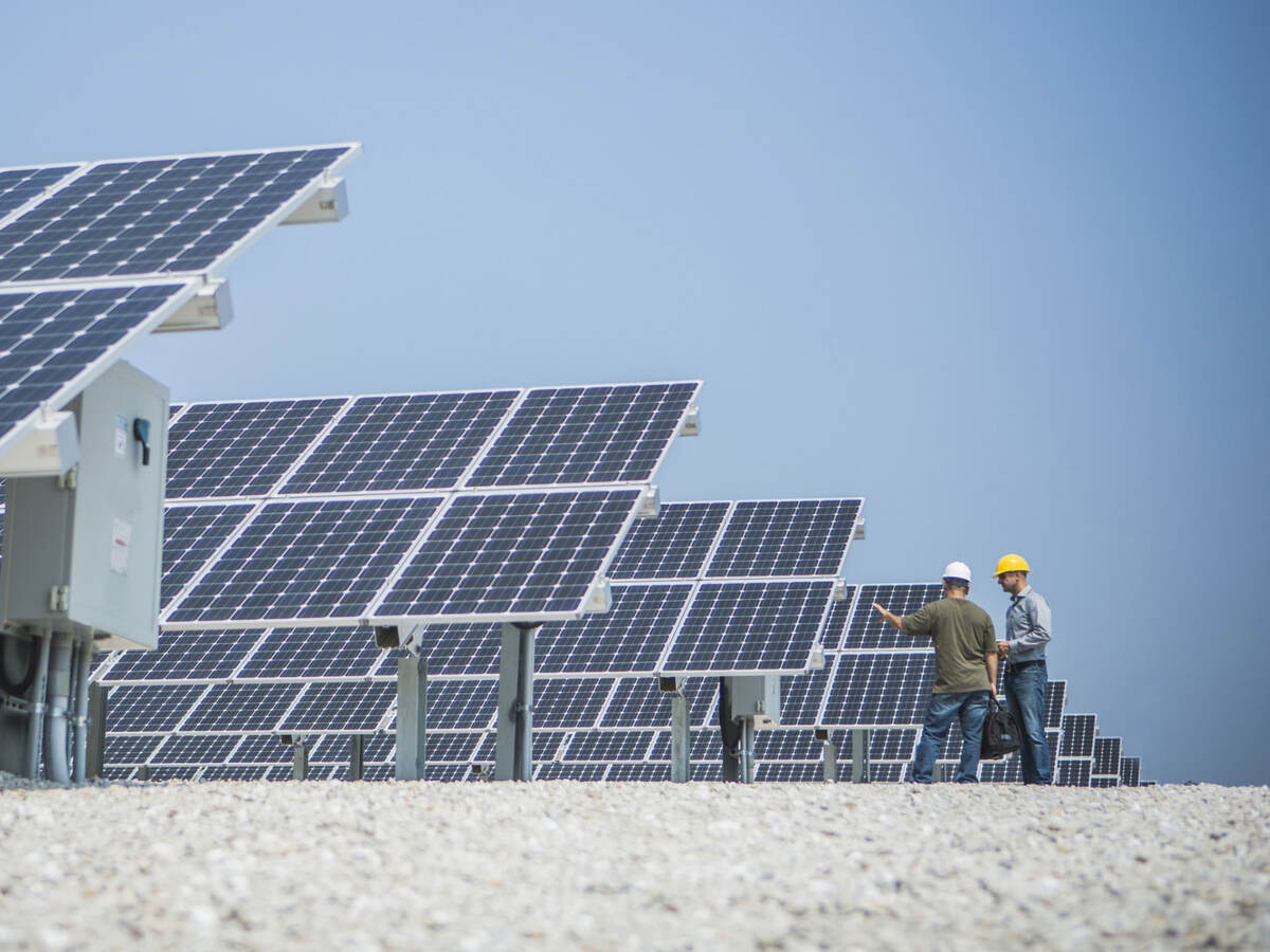 technicians talking near solar panels