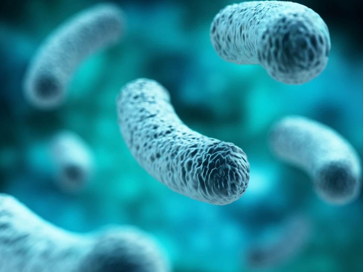 Image of legionella.