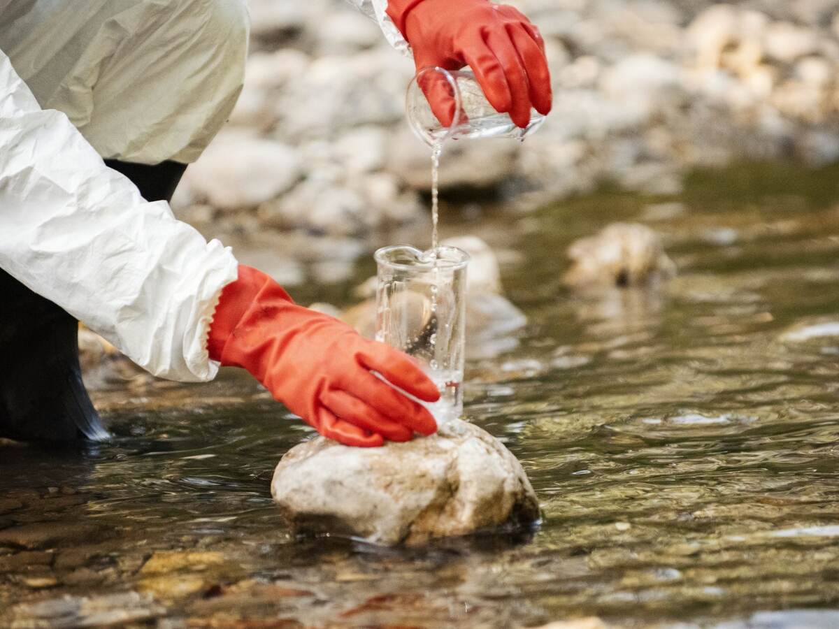 Scientist examining toxic water samples.