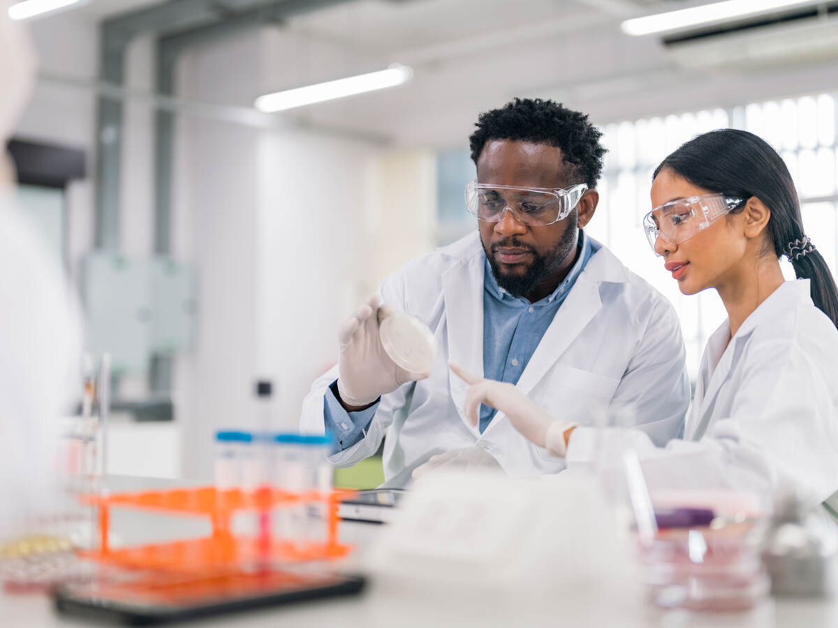 Scientists working in laboratory analyze the sample in petri dish