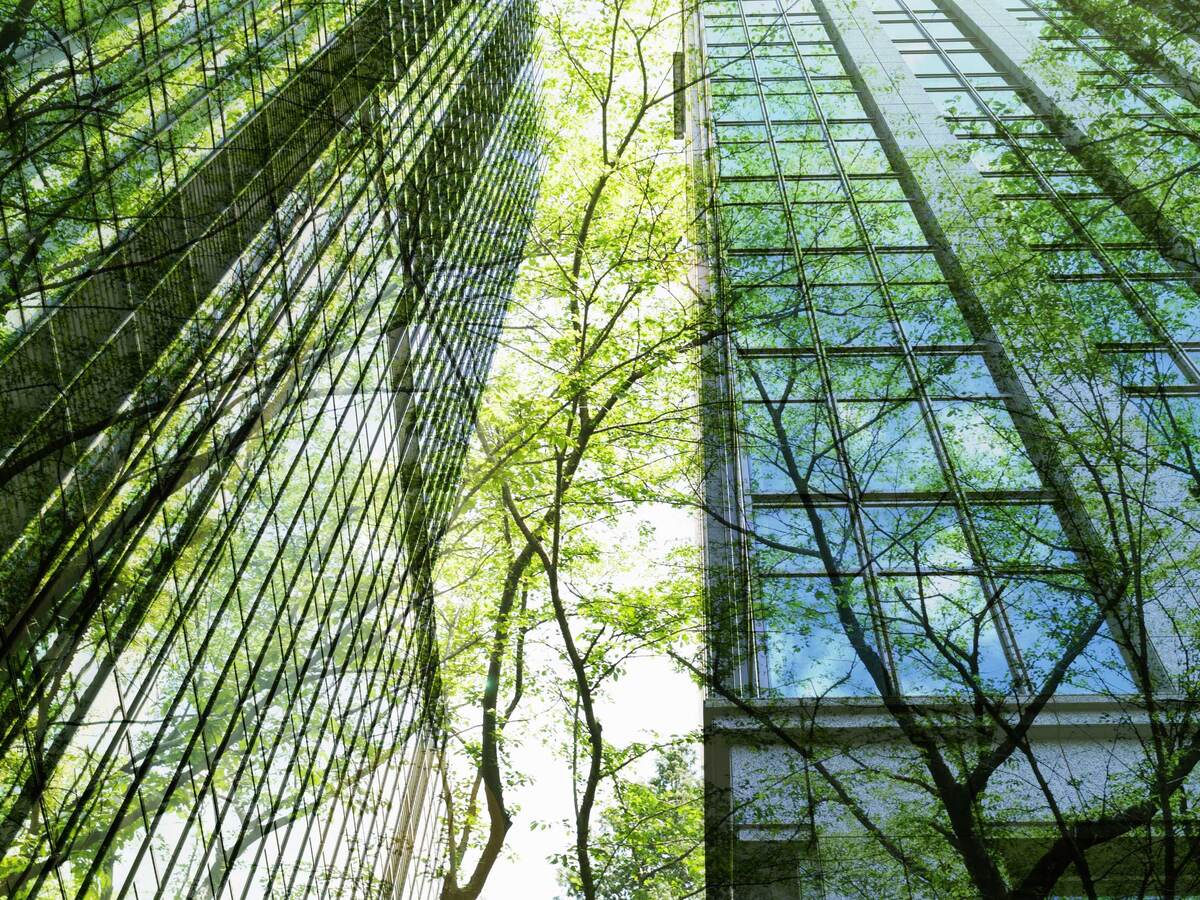 Reflection of trees against the glass of skyscrapers