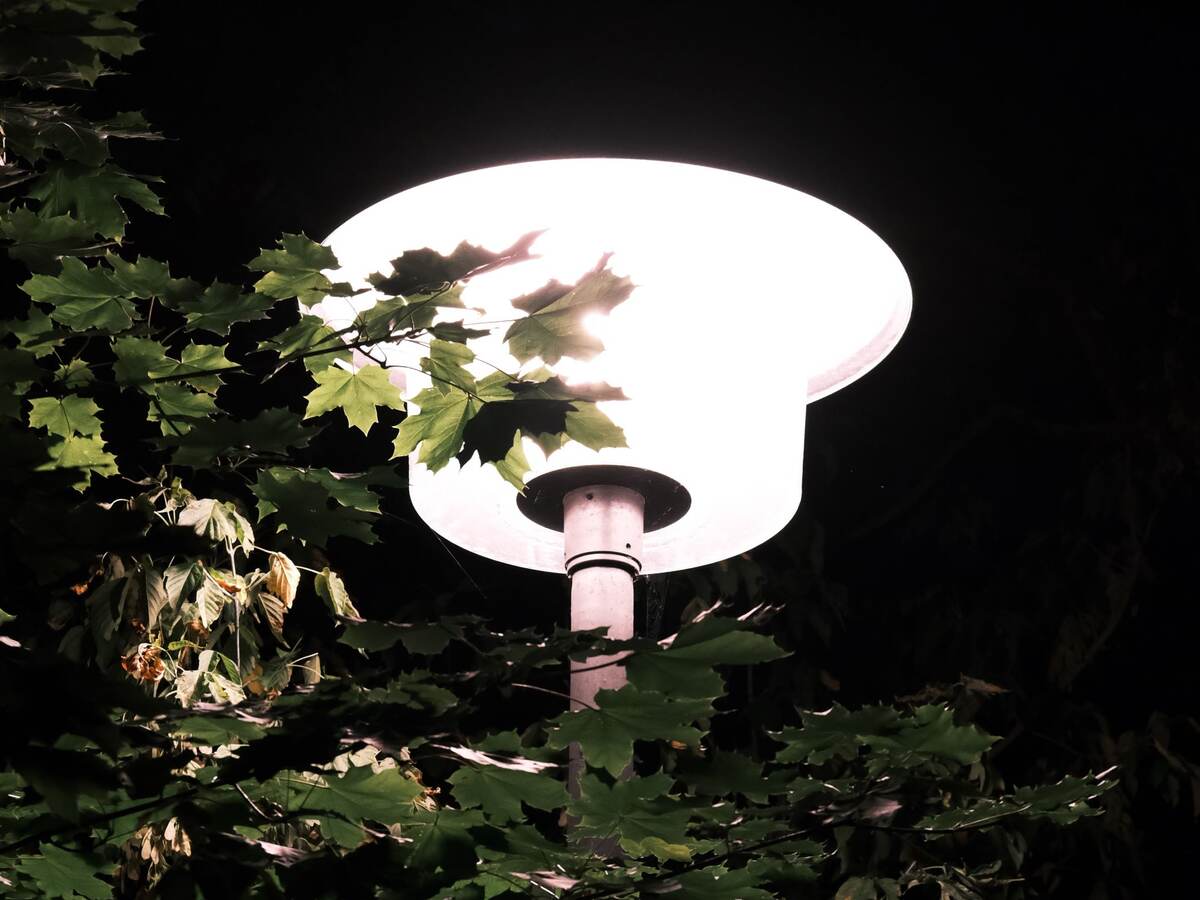 Street lamp at night