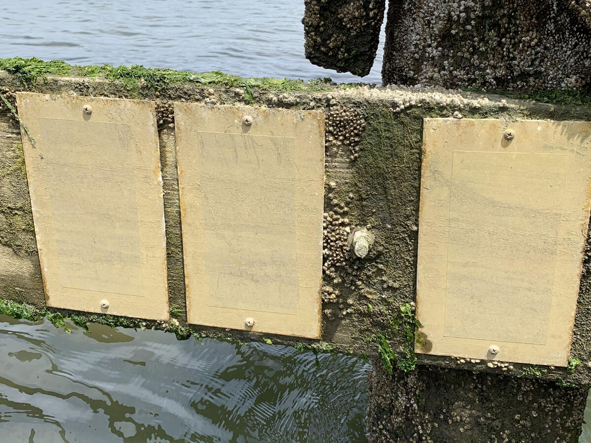 Marine labels