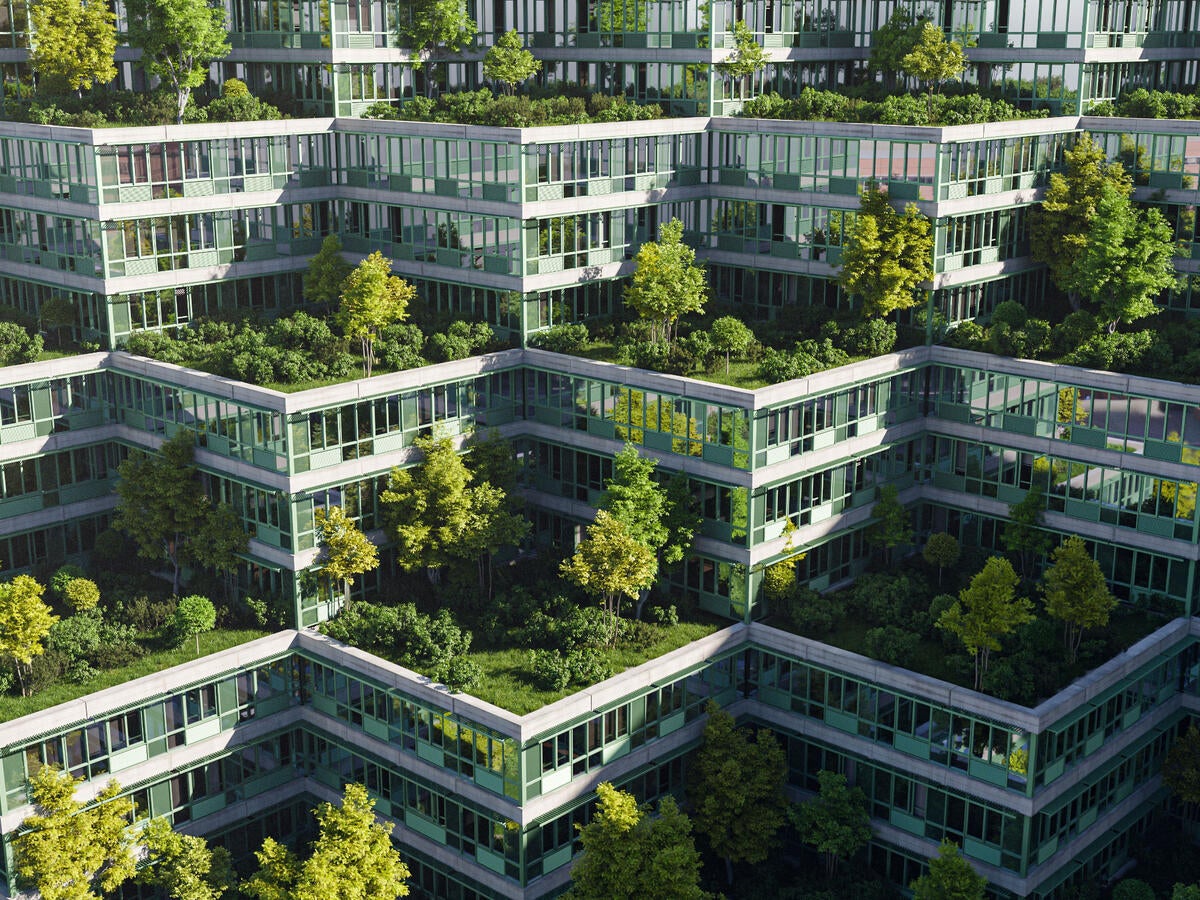 A group of green buildings