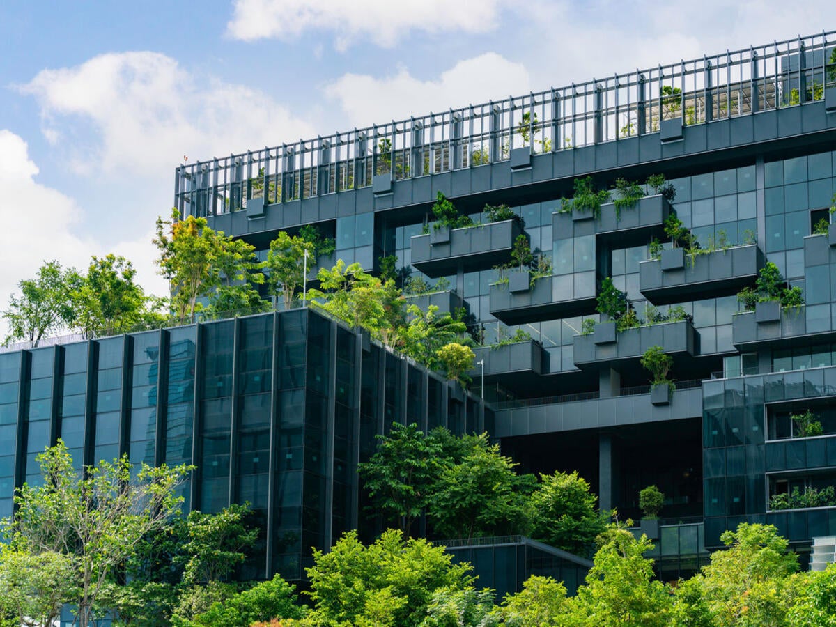 buildings with hanging gardens