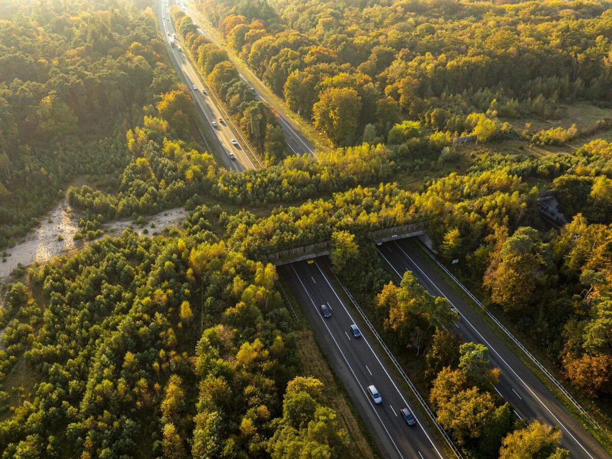 aerial landscape of a forest with a highway going through a tree covered overpass
