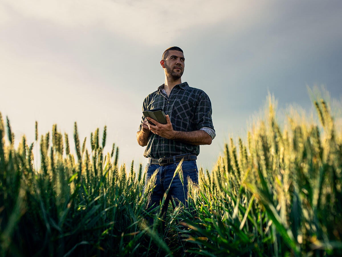 Farmer standing in a field while using a tablet