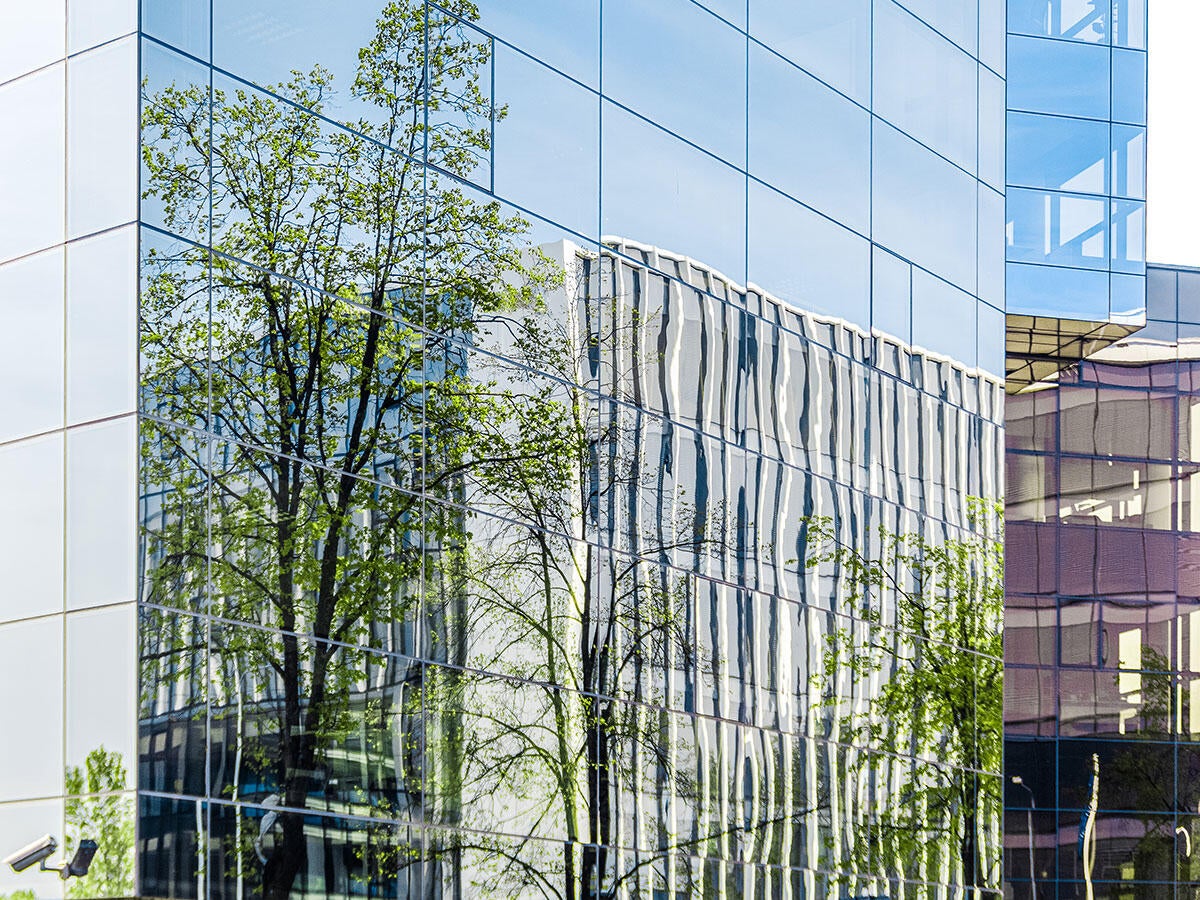 Trees reflecting in the glass of a modern skyscraper in a city