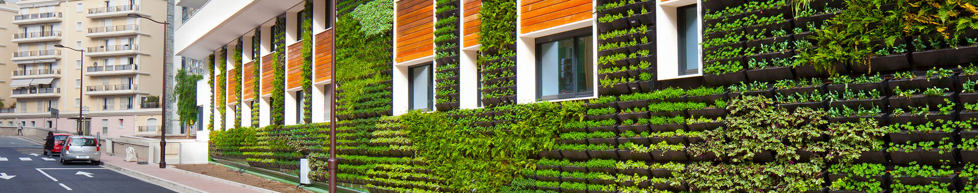 Building with garden vertical garden growing on wall