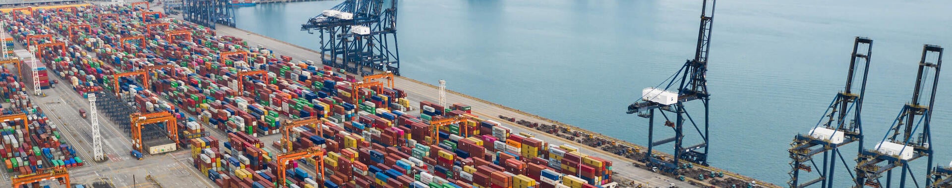 Rows of cargo carriers at a maritime shipping terminal