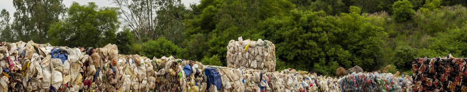 Compressed trash blocks and green.