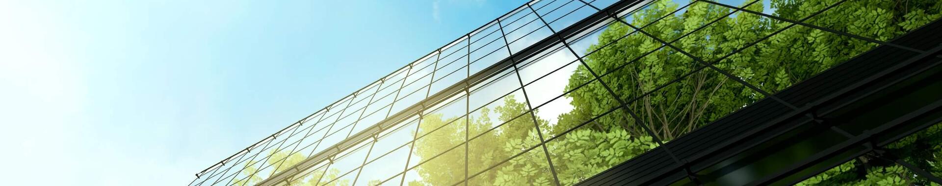 Upward view of a reflection of trees against glass skyscrapers