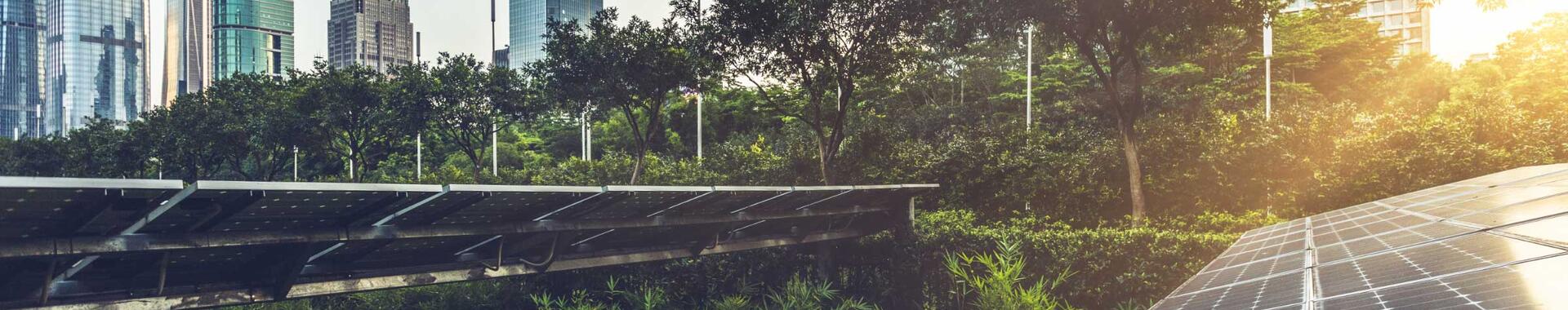 Closeup of solar panels above a forest next to a line of skyscrapers