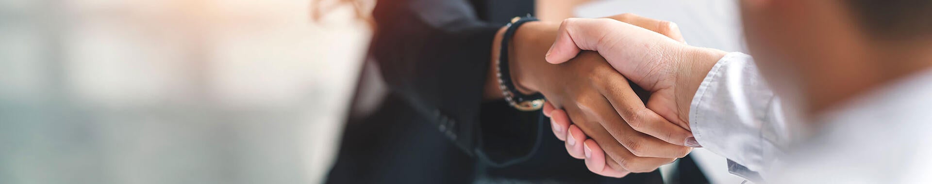 Professionals shaking hands to become business partners