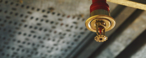 Fire sprinkler system