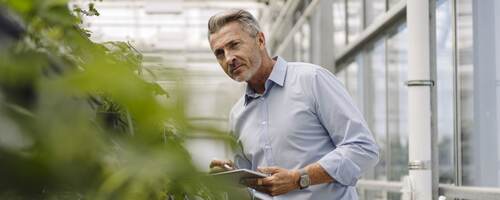 A horticultural professional with a digital tablet analyzes plants in a greenhouse.