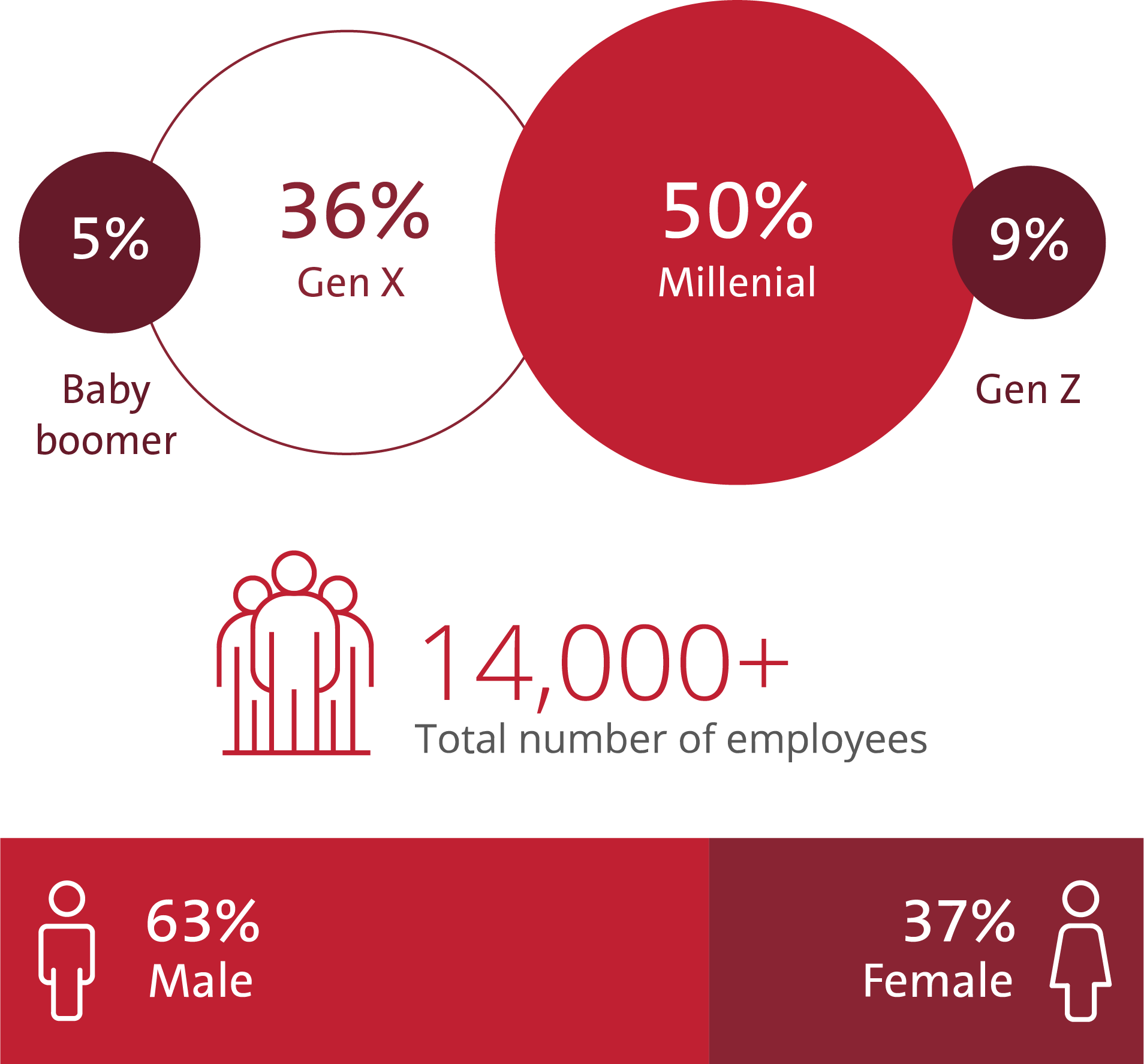Visualization of UL's demographic makeup