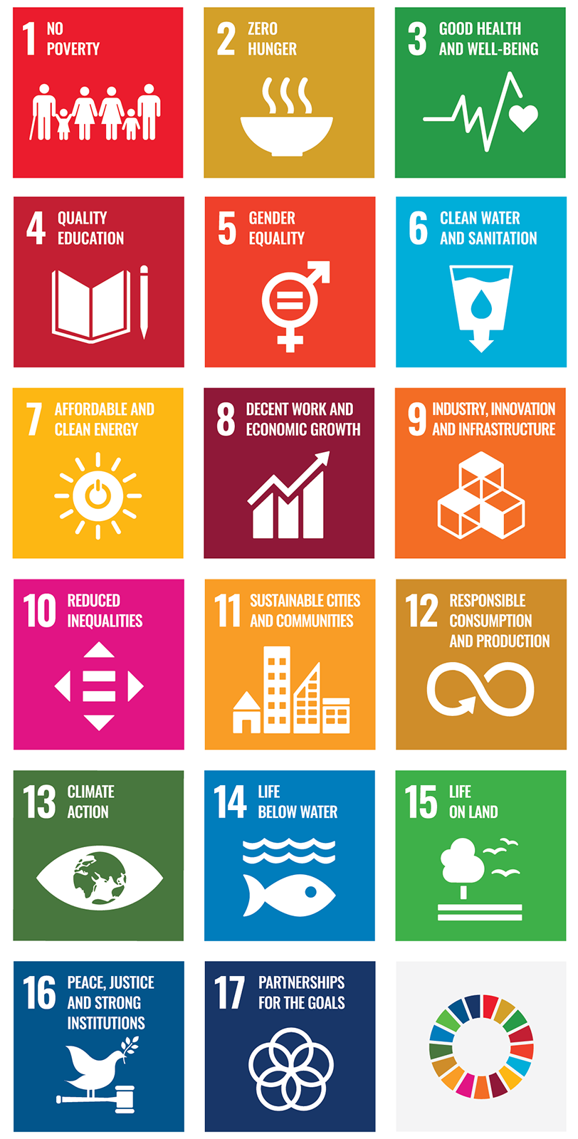 E-SDG-Poster-2019_Rockett-041321-812x1600