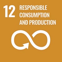SDG 12