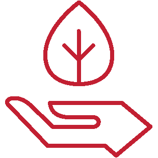 icon of a hand with a leaf